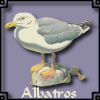 Albatros's schermafbeelding