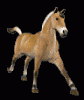 stallion's schermafbeelding