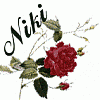 niki31's schermafbeelding