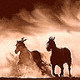 CowboyRoger's schermafbeelding